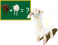 [geneticist sheep]