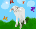 [lamb out walking]