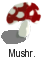 [red and white mushroom]