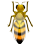 [Tropical Bee]